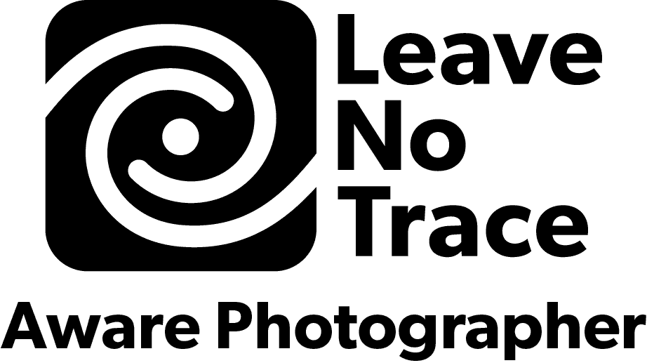 Black_Badge_Transparent_Background